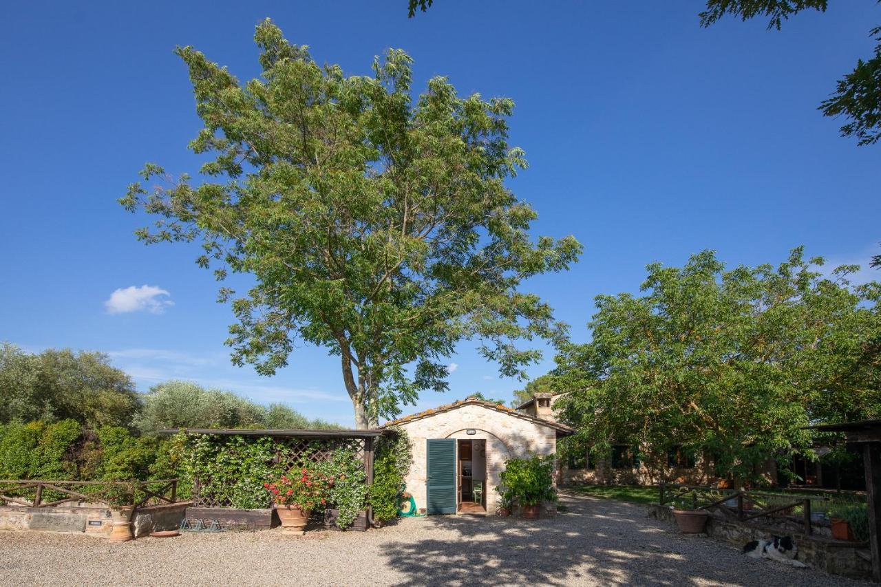 Fontemaggio Apartment Colle Val D'Elsa Exterior photo